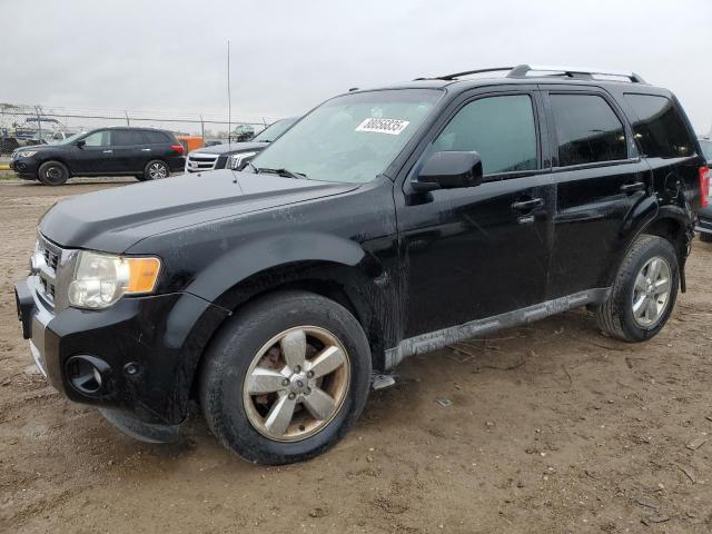 FORD ESCAPE LIM 2010 with VIN 1FMCU0EG3AKA05623 - Photo from auction