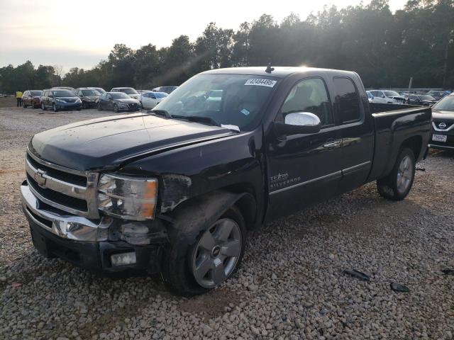 CHEVROLET SILVERADO 2009 with VIN 1GCEC29099Z169065 - Photo from auction