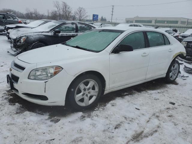 CHEVROLET MALIBU LS 2010 with VIN 1G1ZB5EB6AF290325 - Photo from auction