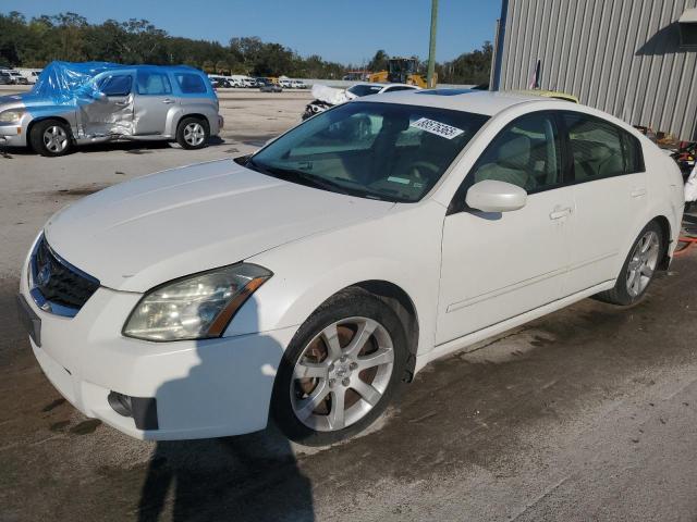 NISSAN MAXIMA SE 2008 with VIN 1N4BA41E58C801899 - Photo from auction