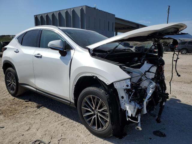Photo 4 from auction – 2024 LEXUS NX 250 PRE with VIN 2T2GDCAZ8RC010694