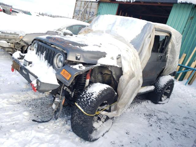 JEEP WRANGLER / 2005 with VIN 1J4FA49S65P380053 - Photo from auction