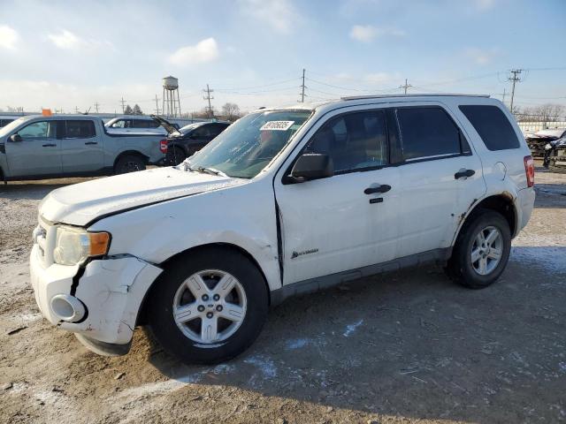 FORD ESCAPE 4D 2010 with VIN 1FMCU5K38AKC85358 - Photo from auction