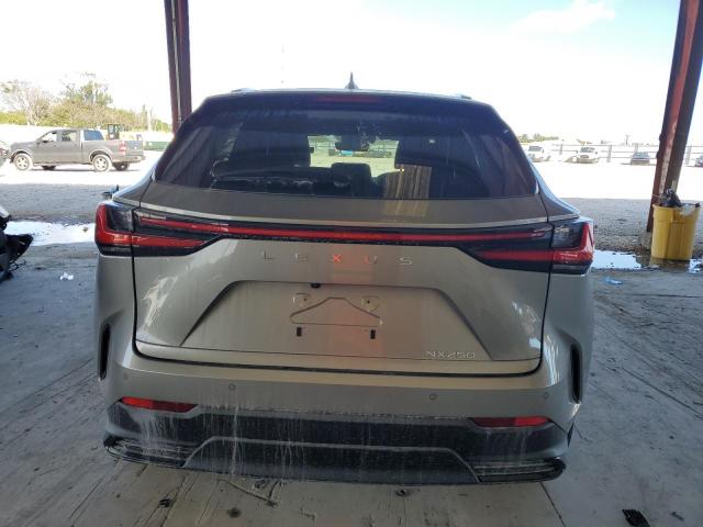 Photo 6 from auction – 2024 LEXUS NX 250 PRE with VIN 2T2GDCAZ9RC013295