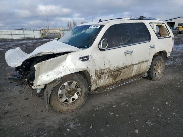 CADILLAC ESCALADE L 2007 with VIN 1GYFK63887R374459 - Photo from auction