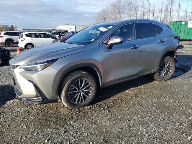 LEXUS NX 350H BA 2025 with VIN 2T2AKCEZ6SC035119 - Photo from auction