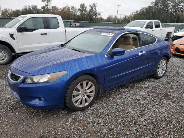 HONDA ACCORD EXL 2010 with VIN 1HGCS2B89AA008763 - Photo from auction