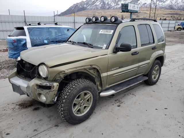 JEEP LIBERTY RE 2002 with VIN 1J4GL38K42W358757 - Photo from auction