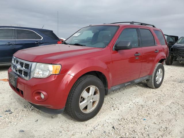 FORD ESCAPE XLT 2011 with VIN 1FMCU0D76BKB02477 - Photo from auction
