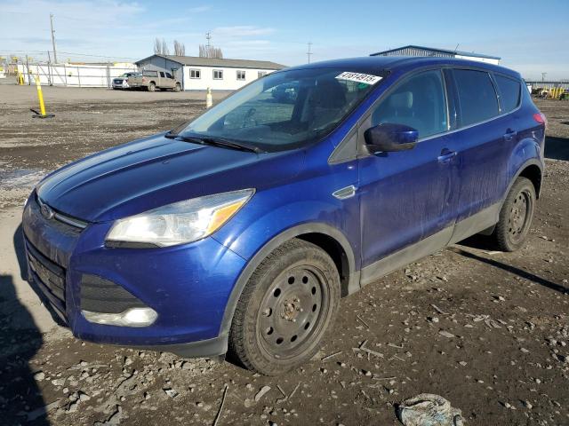 FORD ESCAPE SE 2013 with VIN 1FMCU9G92DUD10817 - Photo from auction