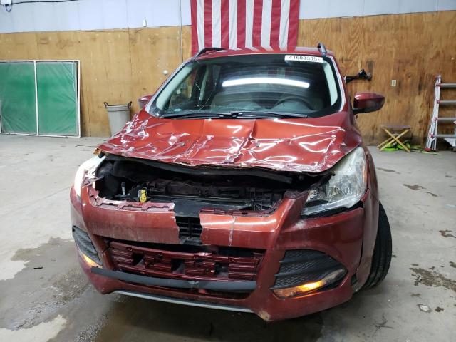 Photo 5 from auction – 2014 FORD ESCAPE SE with VIN 1FMCU0GX5EUC91918