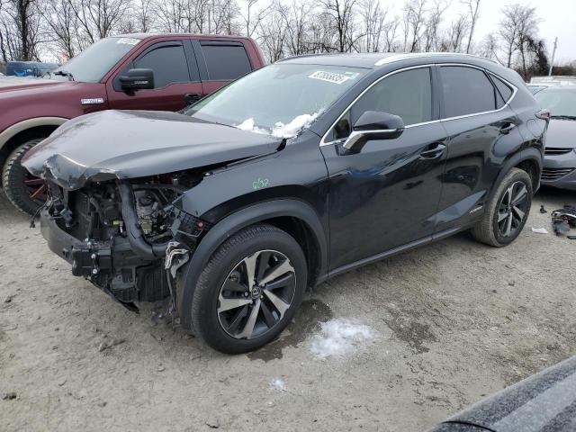 LEXUS NX 300H 2020 with VIN JTJGJRDZ7L2139573 - Photo from auction