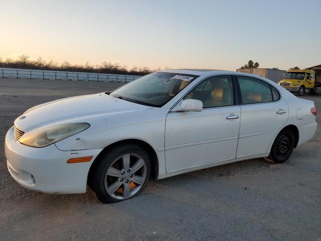 LEXUS ES 330 2005 with VIN JTHBA30G555090209 - Photo from auction
