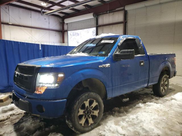 FORD F150 2013 with VIN 1FTMF1EM2DFD99692 - Photo from auction