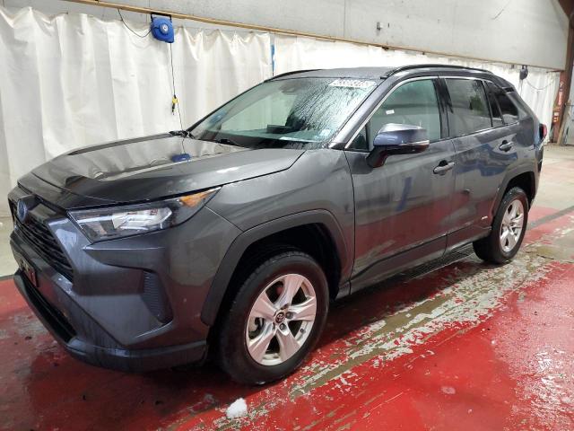 TOYOTA RAV4 LE 2019 with VIN 2T3MWRFV8KW032961 - Photo from auction