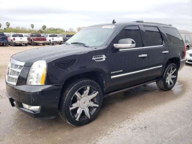 CADILLAC ESCALADE P 2012 with VIN 1GYS4DEF9CR134307 - Photo from auction