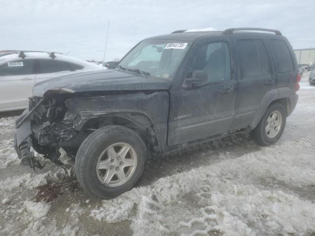 JEEP LIBERTY SP 2004 with VIN 1J4GL48K64W260838 - Photo from auction
