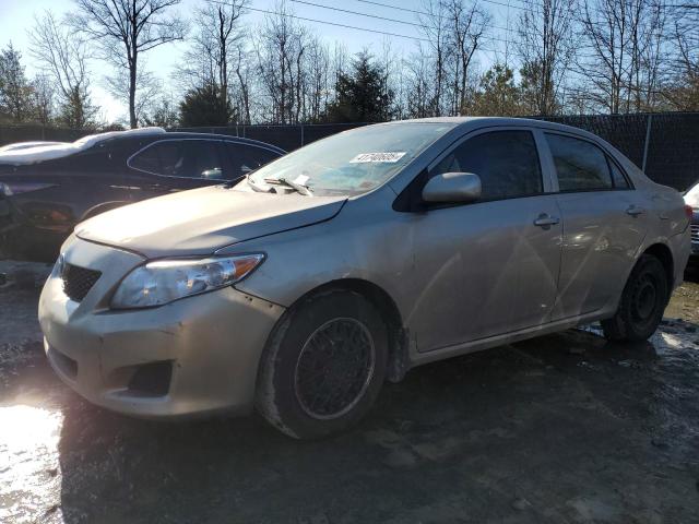 TOYOTA COROLLA BA 2010 with VIN 2T1BU4EE2AC300445 - Photo from auction