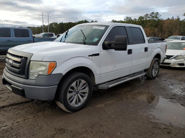 FORD F150 SUPER 2010 with VIN 1FTEW1CW9AFA60433 - Photo from auction