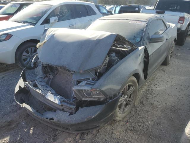 FORD MUSTANG 2014 with VIN 1ZVBP8EM4E5205861 - Photo from auction