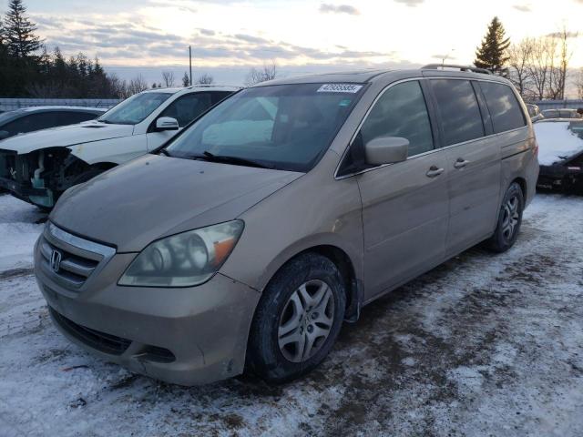 HONDA ODYSSEY EX 2005 with VIN 5FNRL38765B505230 - Photo from auction