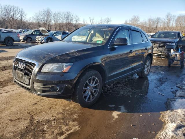 AUDI Q5 PREMIUM 2010 with VIN WA1LKAFP9AA051567 - Photo from auction