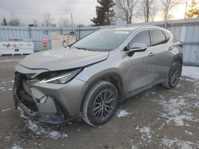Фото 1 с аукциона – 2023 LEXUS NX 250 с VIN 2T2ADCEZ7PC003135