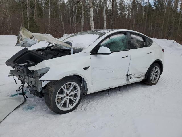TESLA MODEL Y 2022 with VIN 7SAYGDEE9NF447187 - Photo from auction