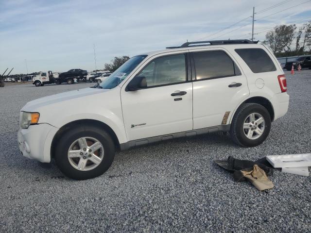 FORD ESCAPE HYB 2010 with VIN 1FMCU4K39AKD40684 - Photo from auction