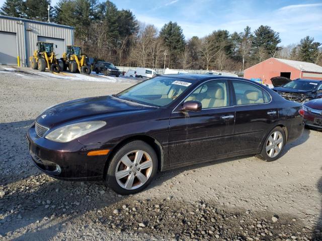 LEXUS ES 330 2005 with VIN JTHBA30G655123251 - Photo from auction