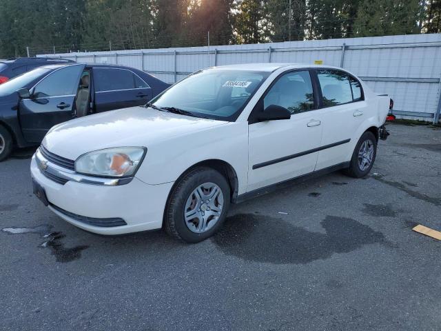 CHEVROLET MALIBU 2005 with VIN 1G1ZS52F65F216254 - Photo from auction