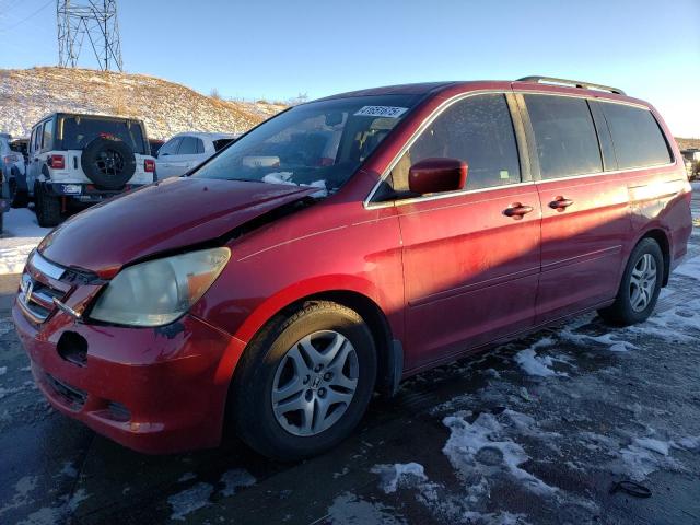 HONDA ODYSSEY EX 2005 with VIN 5FNRL38705B058040 - Photo from auction