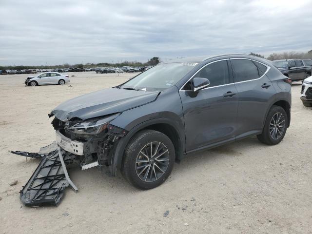 LEXUS NX 250 2023 with VIN JTJADCAZ4P5010077 - Photo from auction