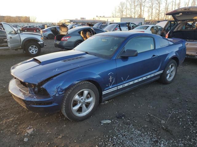 FORD MUSTANG 2007 with VIN 1ZVHT80N075331255 - Photo from auction