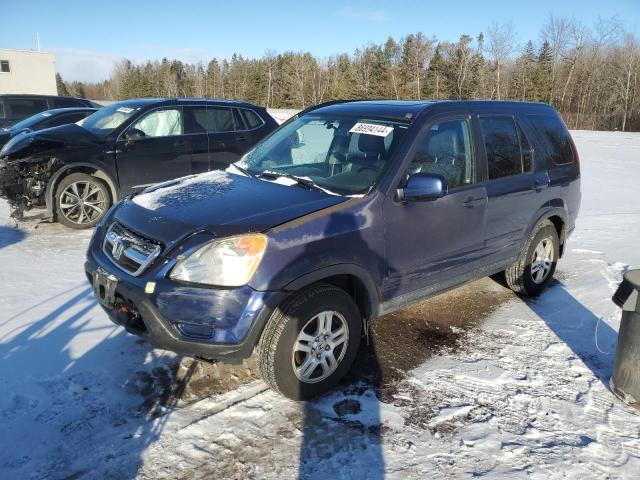HONDA CR-V EX 2004 with VIN JHLRD78924C812687 - Photo from auction