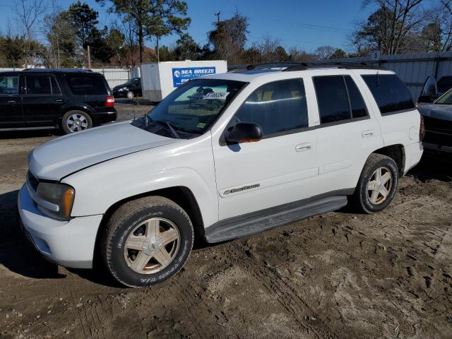 CHEVROLET TRAILBLAZE 2003 with VIN 1GNDT13S732176300 - Photo from auction