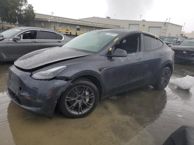 TESLA MODEL Y 2024 with VIN 7SAYGDED3RF162885 - Photo from auction