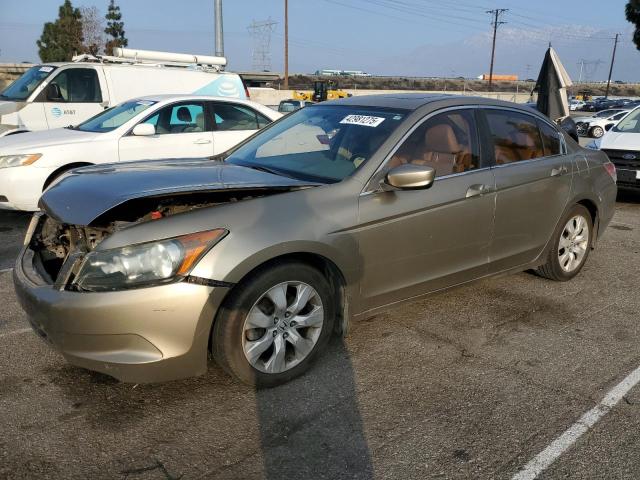 HONDA ACCORD EXL 2010 with VIN 1HGCP2F82AA080223 - Photo from auction