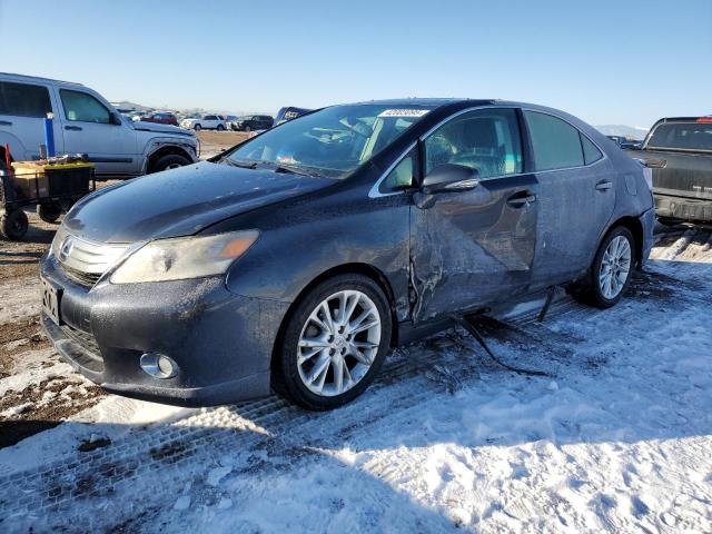 LEXUS HS 250H 2010 with VIN JTHBB1BA5A2003303 - Photo from auction