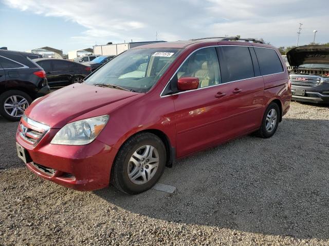 HONDA ODYSSEY EX 2006 with VIN 5FNRL38616B436715 - Photo from auction