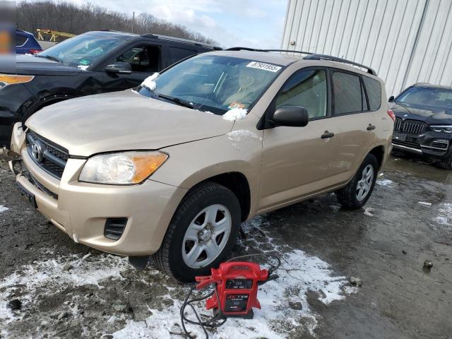 TOYOTA RAV4 2012 with VIN 2T3BF4DV1CW186071 - Photo from auction