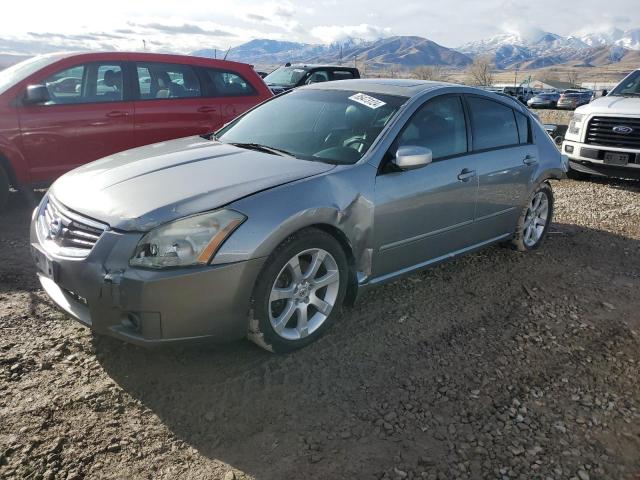 NISSAN MAXIMA SE 2007 with VIN 1N4BA41E17C802787 - Photo from auction