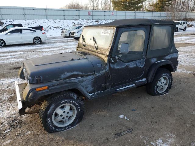 JEEP WRANGLER / 1995 with VIN 1J4FY29S3SP289771 - Photo from auction