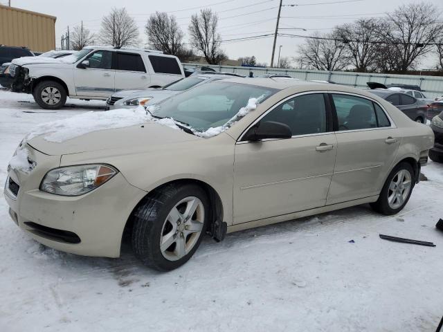 CHEVROLET MALIBU LS 2012 with VIN 1G1ZB5E06CF181123 - Photo from auction