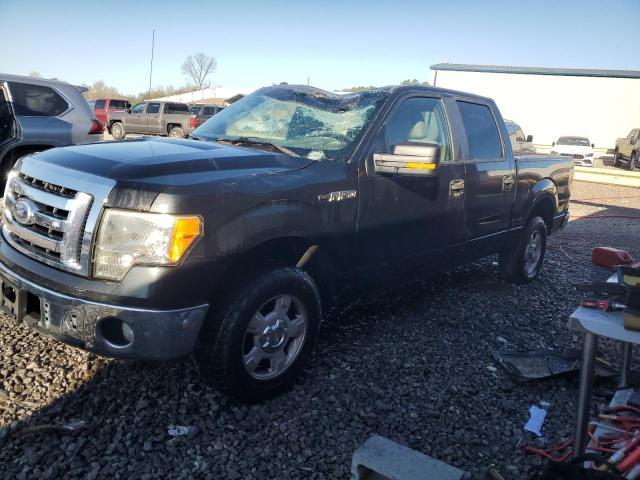 FORD F150 SUPER 2010 with VIN 1FTEW1C81AFA97185 - Photo from auction