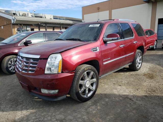CADILLAC ESCALADE P 2011 с VIN 1GYS4CEF3BR145313 - Фото с аукциона