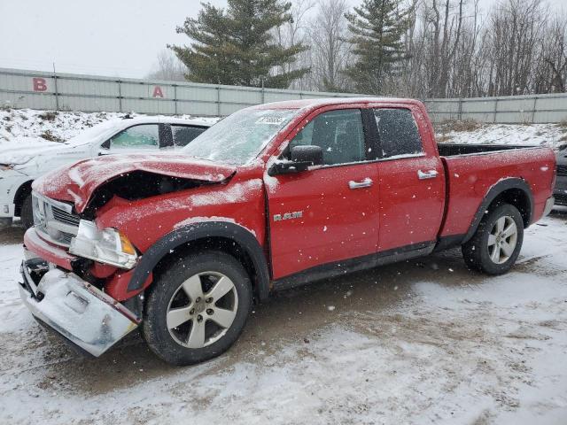 DODGE RAM 1500 2010 z numerem VIN 1D7RV1GP0AS133161 - Zdjęcie z aukcji
