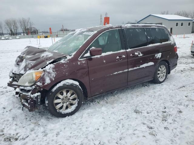 HONDA ODYSSEY EX 2008 with VIN 5FNRL38468B033797 - Photo from auction