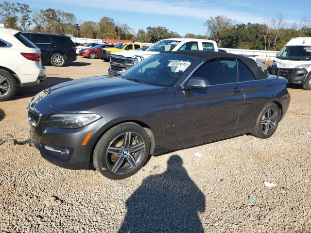 BMW 230I 2017 with VIN WBA2K9C31HV950585 - Photo from auction