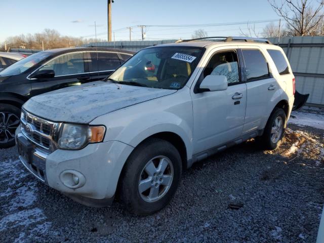 FORD ESCAPE 2010 with VIN 1FMCU9EG0AKC91824 - Photo from auction